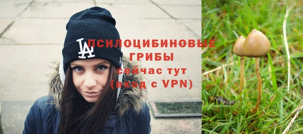 метамфетамин Алексеевка
